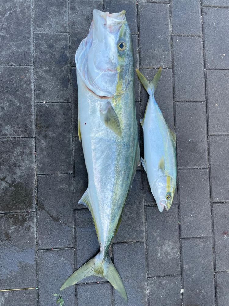 タチウオ釣り カワハギ釣り