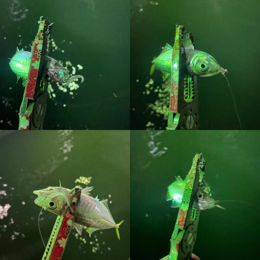 イージーゲーム