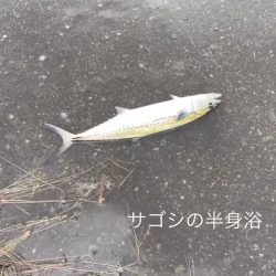 初めて竿を買った友達と