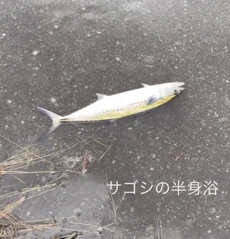 初めて竿を買った友達と