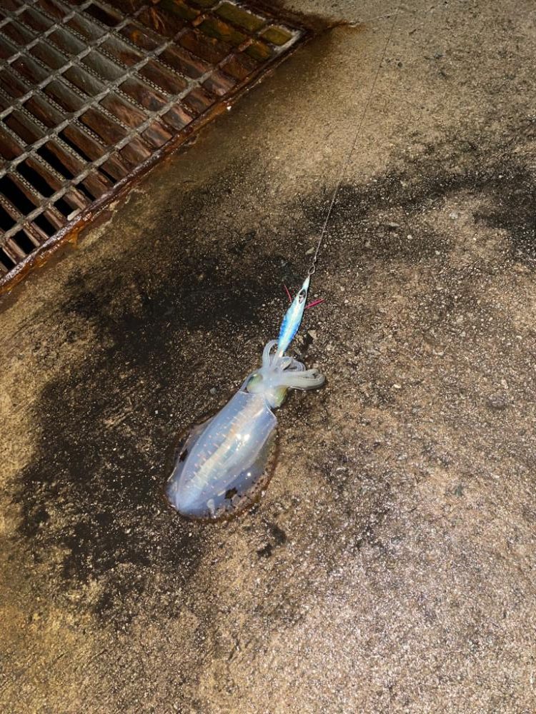 おNewのタックル