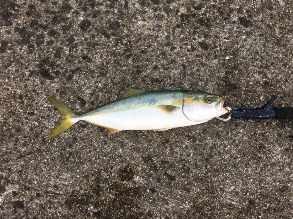 第7回雰囲気あります