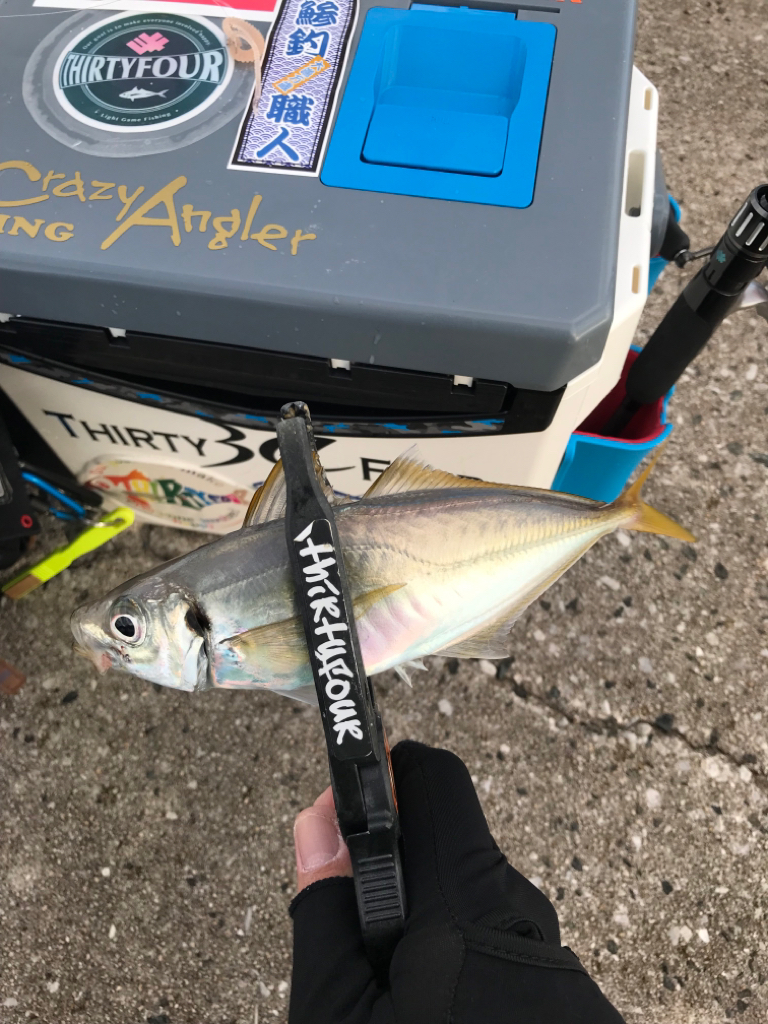 週末ルーティン