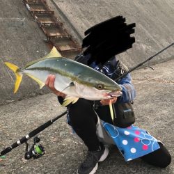 ジグパラ炸裂〜