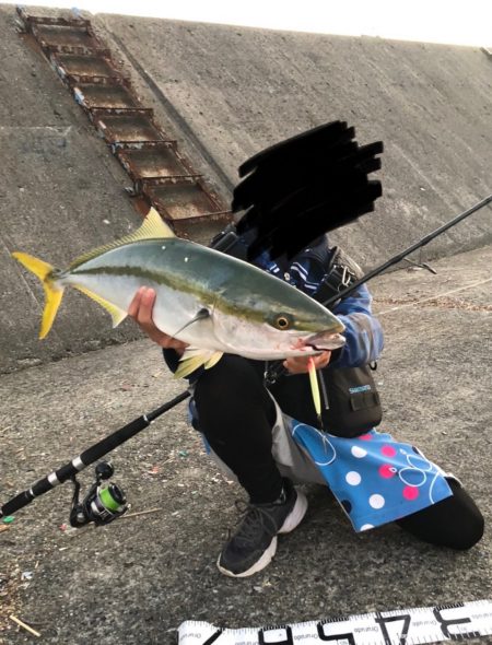 ジグパラ炸裂〜