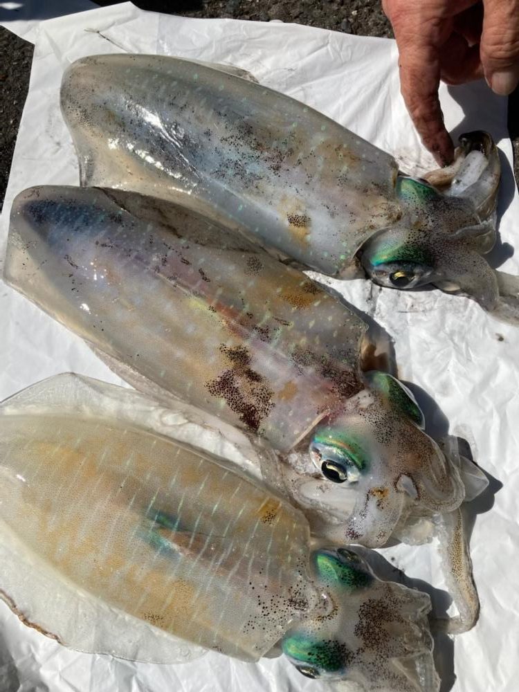 秋のイケイケトリプルヒット