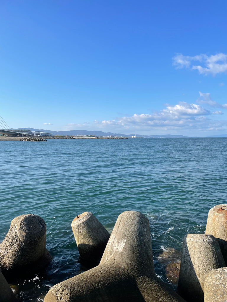 飲ませでハマチ