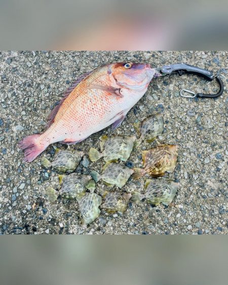 ボートジギング