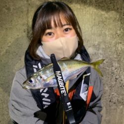 高松アジング！