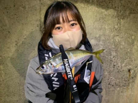 高松アジング！