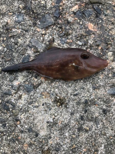 平磯海釣り公園