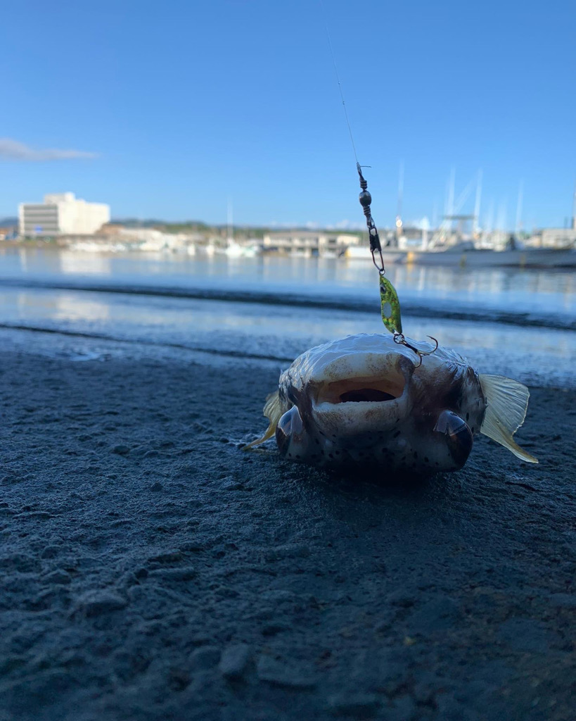 ダイソー最高!!