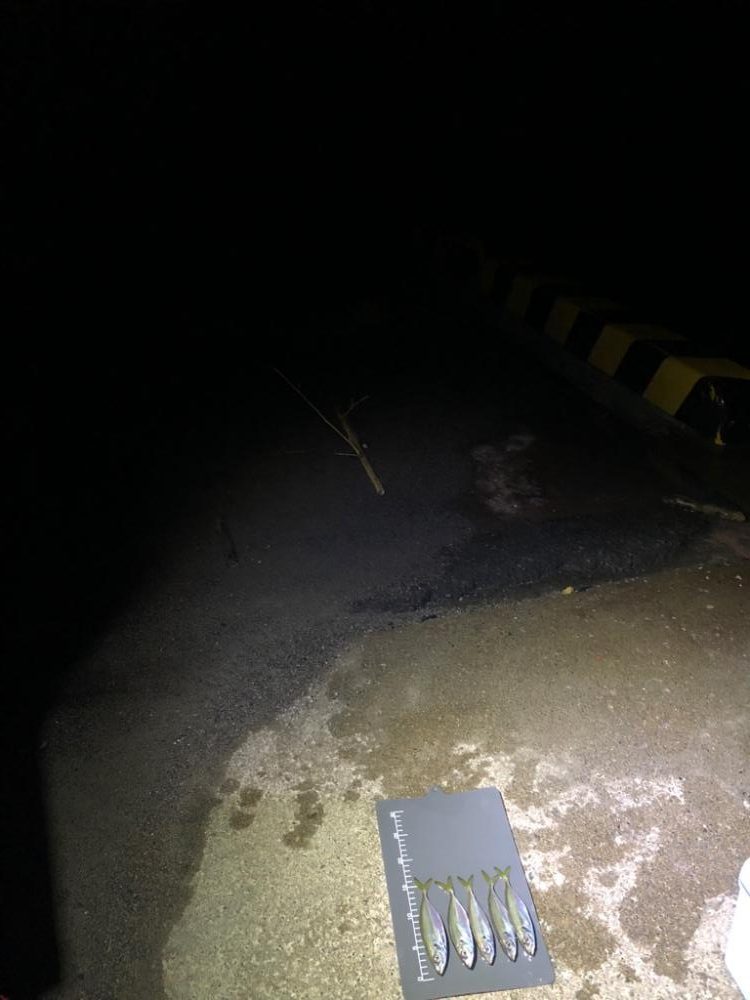 寒いし釣れないし…