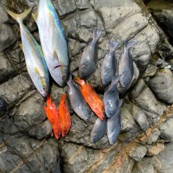 久々のジギング