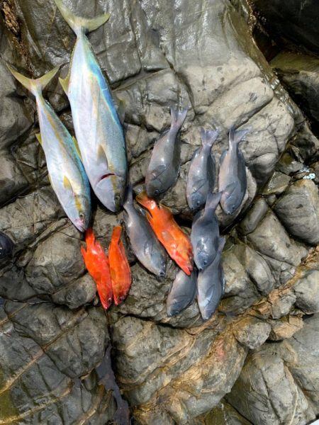 久々のジギング