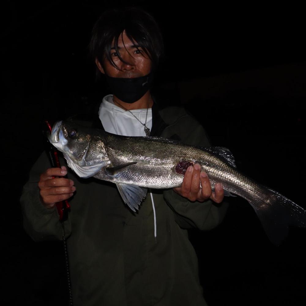 今日も今日とて