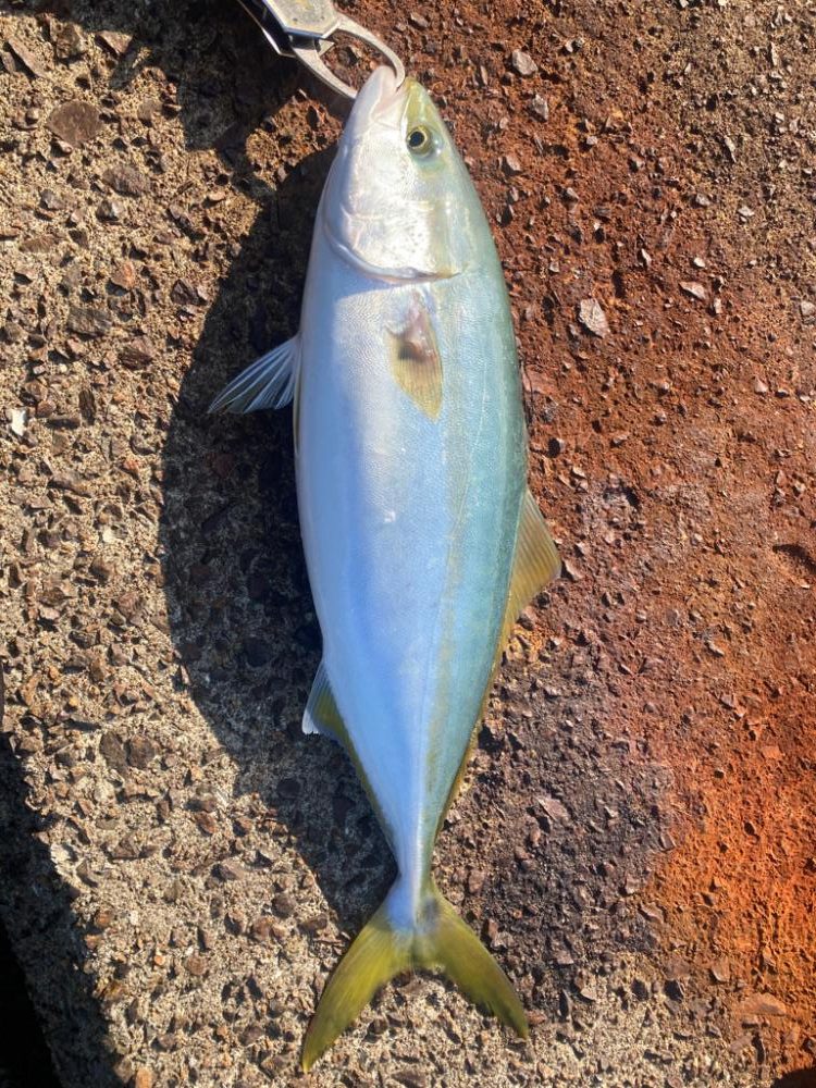 2022ライトゲーム第37戦