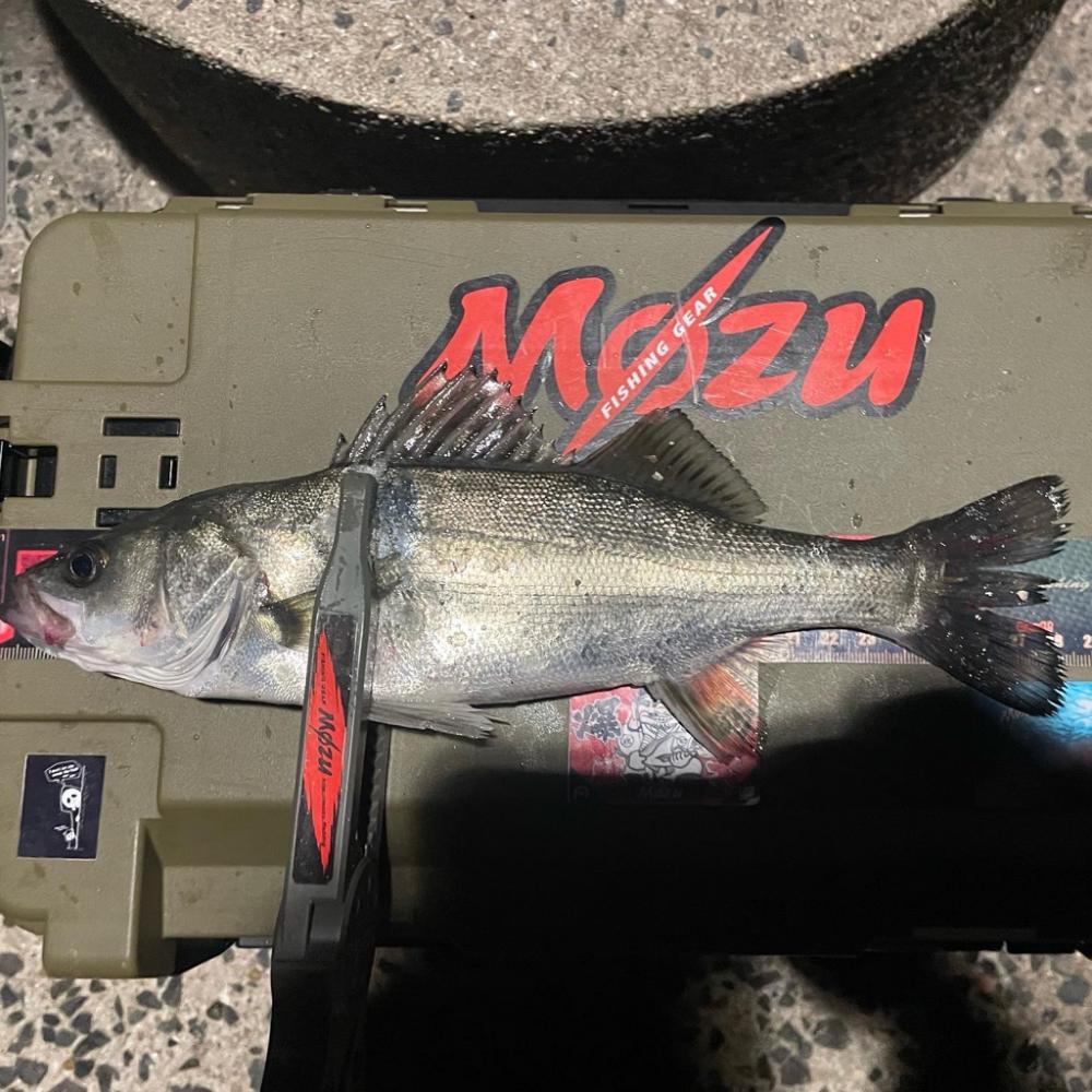 久しぶりのホームグラウンド