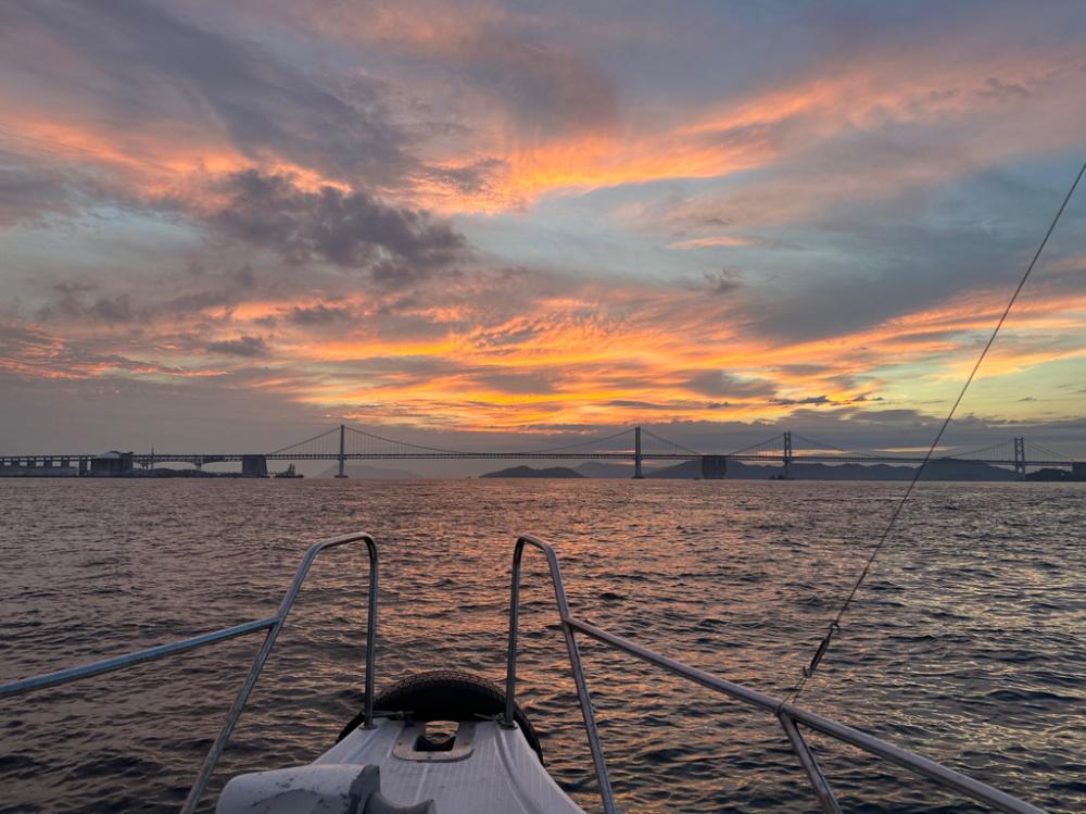 今季初のモンゴウイカ