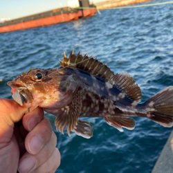 こんな日もあるさ