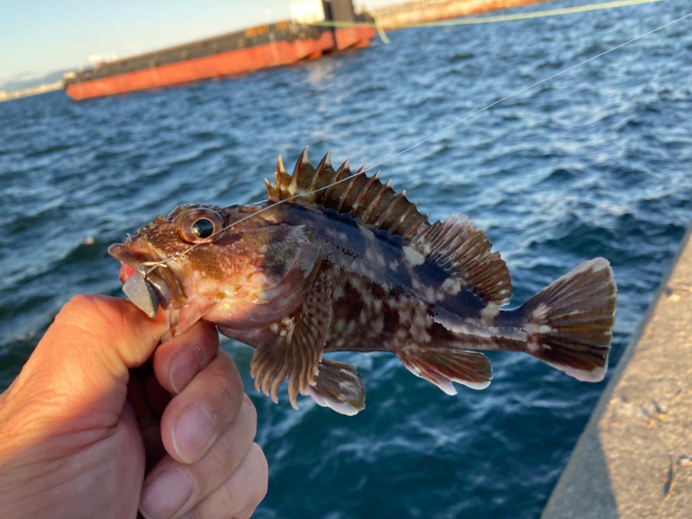 こんな日もあるさ