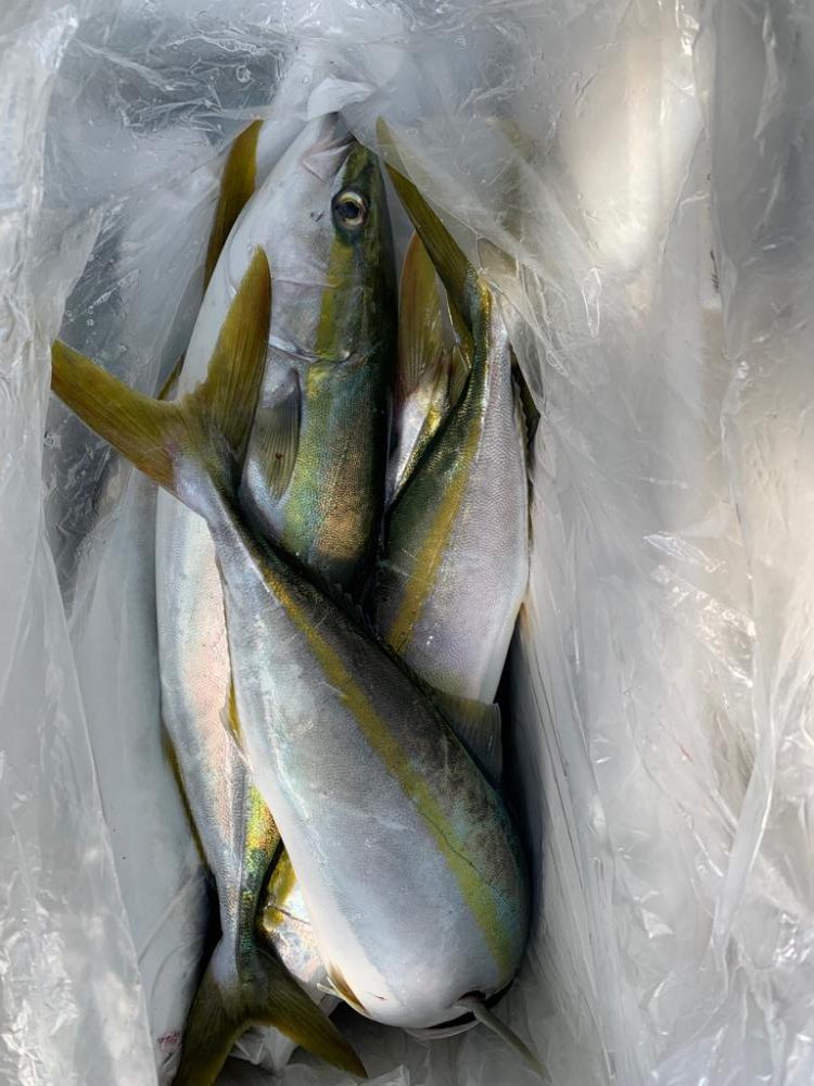 タチパターンじゃなかった!