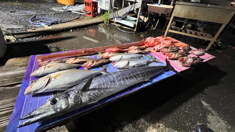 人生最高の魚GET🐟