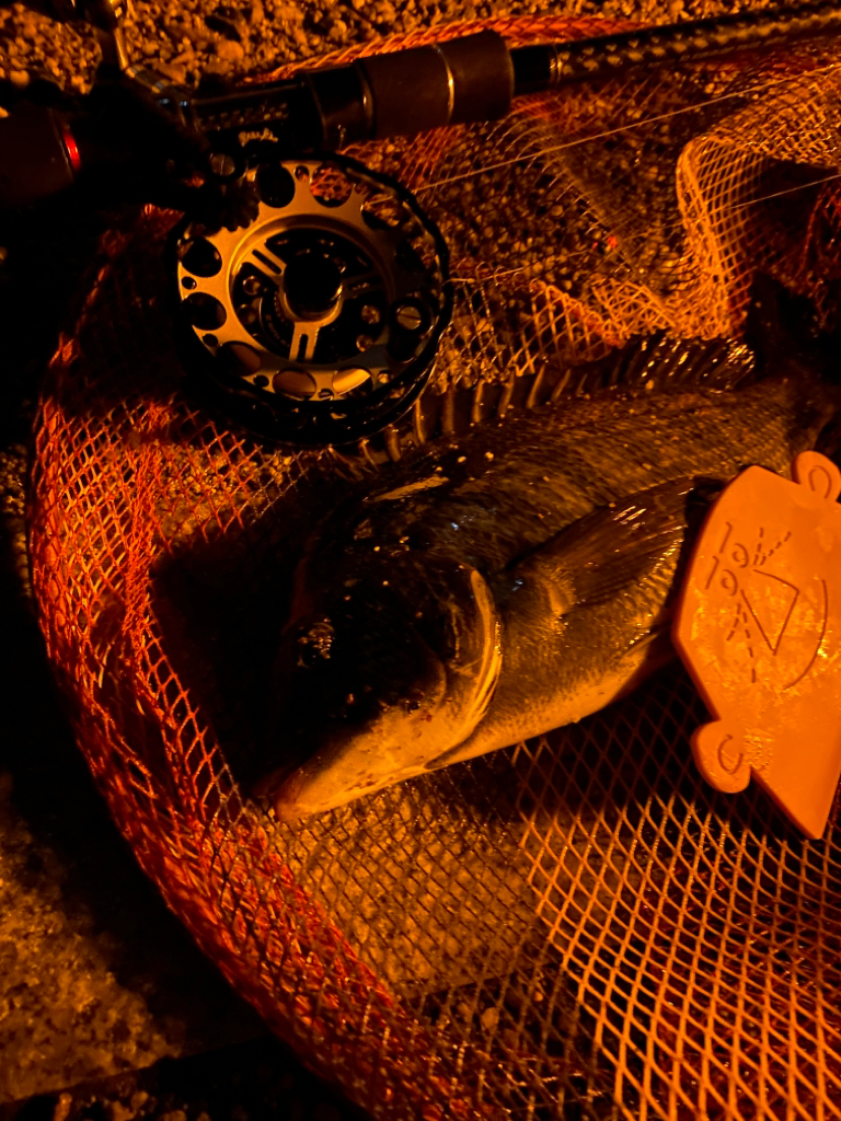 ヘチってきました