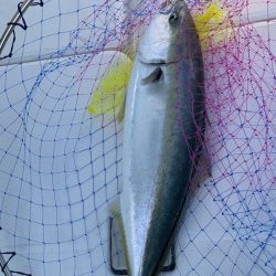 久しぶりのボート出船