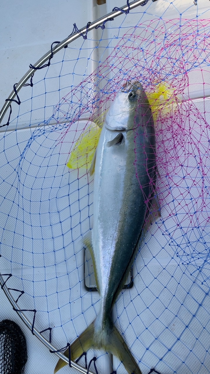 久しぶりのボート出船