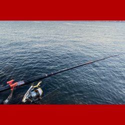 寒暖差がありましたが朝は比較的暖かい日になりました。