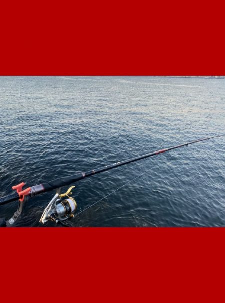 寒暖差がありましたが朝は比較的暖かい日になりました。