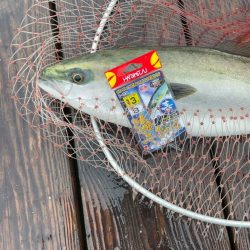 雨の釣り堀海恵