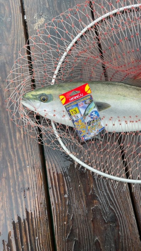 雨の釣り堀海恵