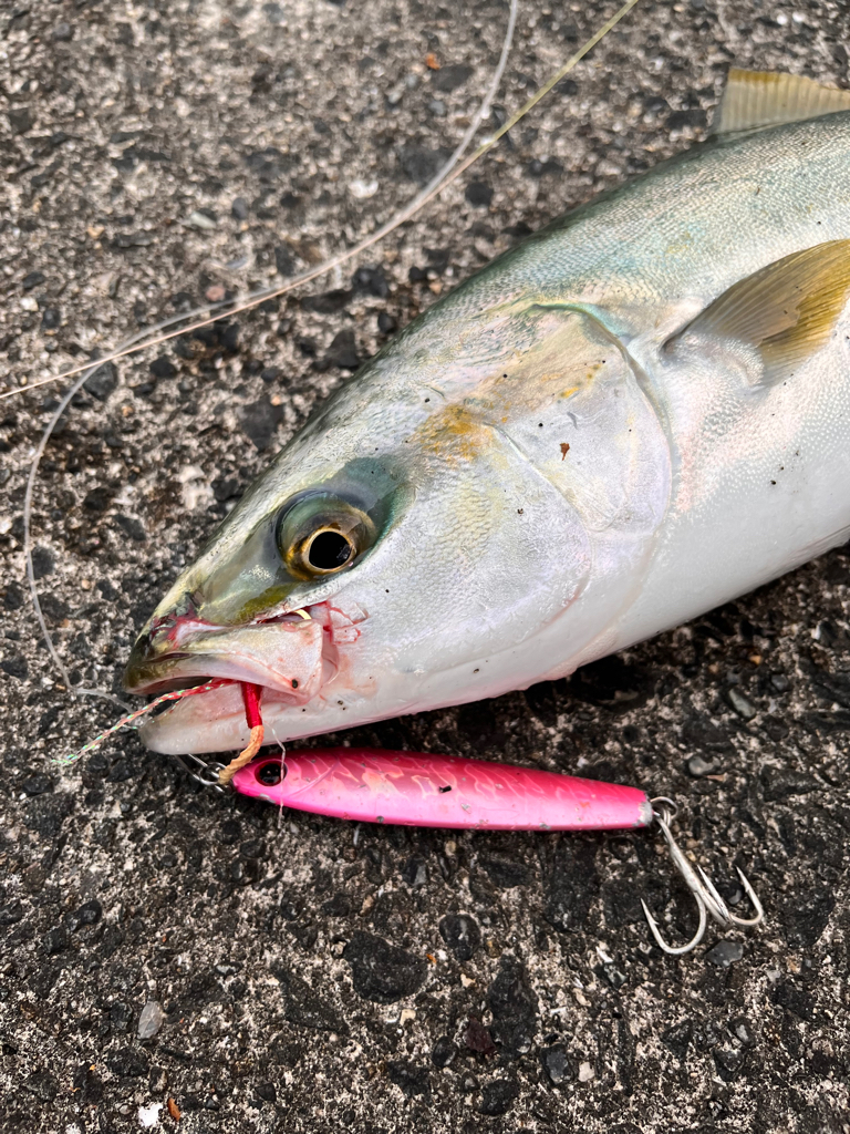 ショアジギング