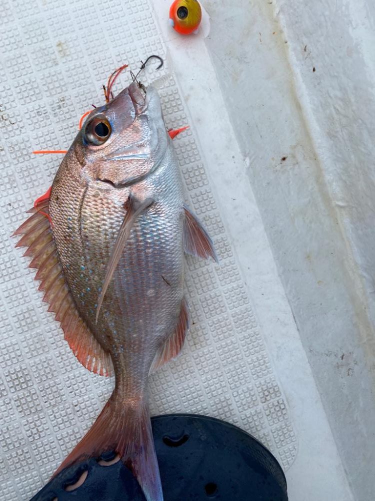 ボートで五目釣り