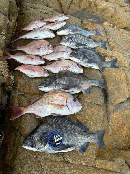 今年ラストのチヌ釣り釣行