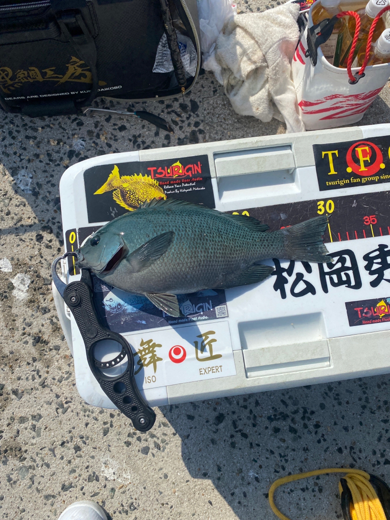 久しぶりのクロ釣り❗️