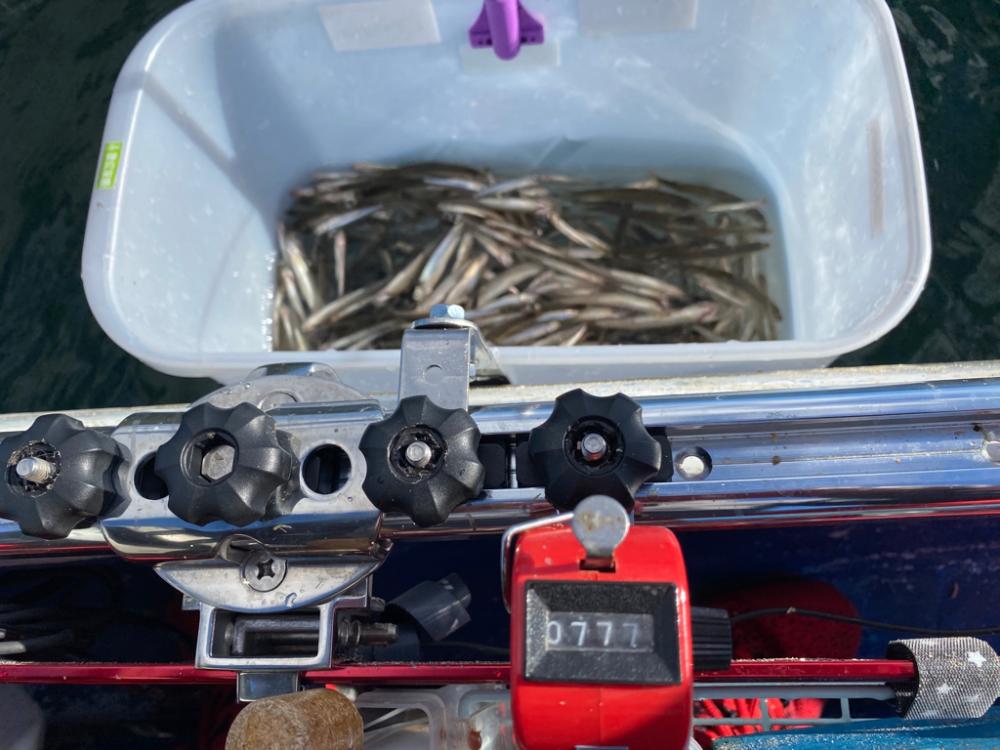 榛名湖ワカサギ釣り