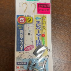 初めての陸からメジロ！