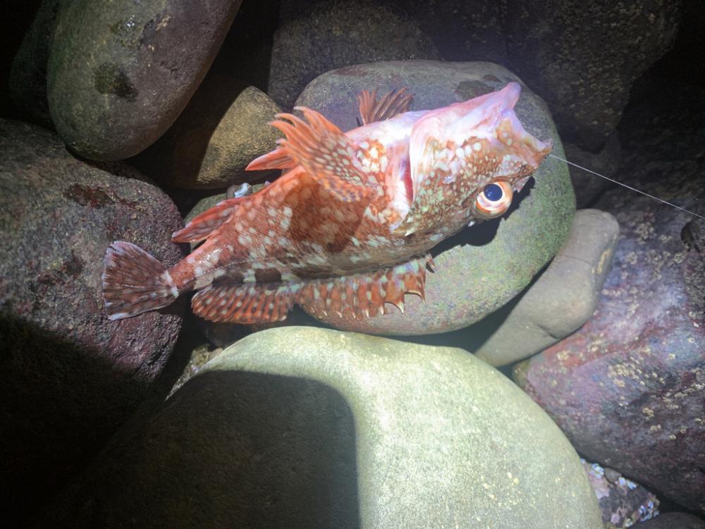 フロートアジング