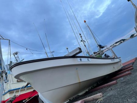 今季シーズン初の泥障烏賊に