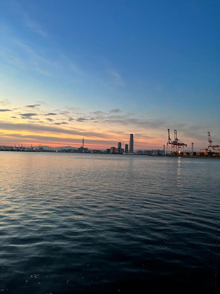 サバはサイズアップ