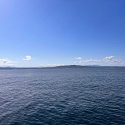 オフショアジギング