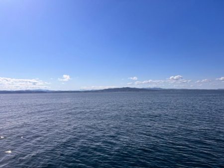 オフショアジギング