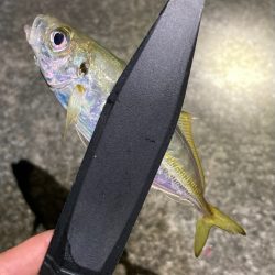 ライトゲーム明石周辺