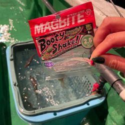 バチコンandイカメタル