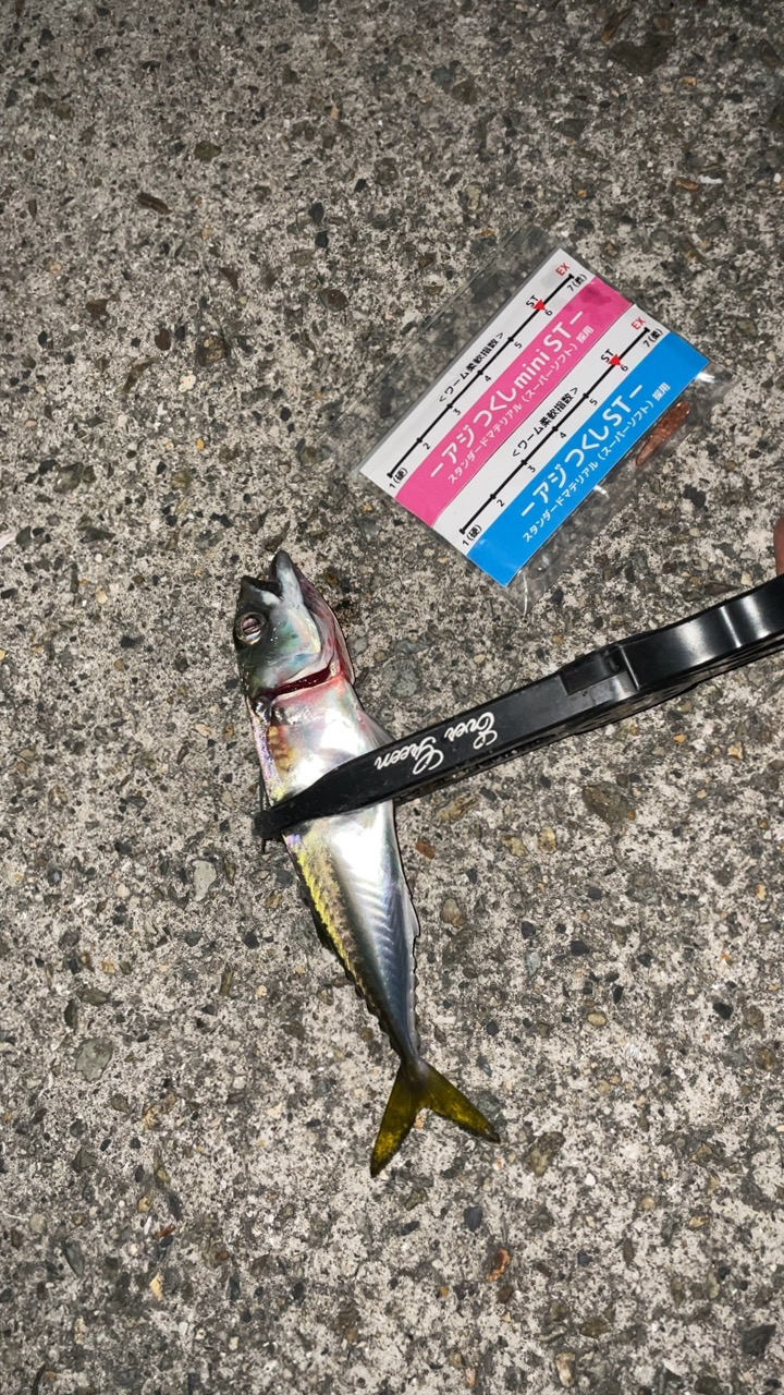 オンスタックルのモニター