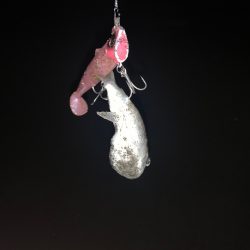 ナイトサーフでマゴチ