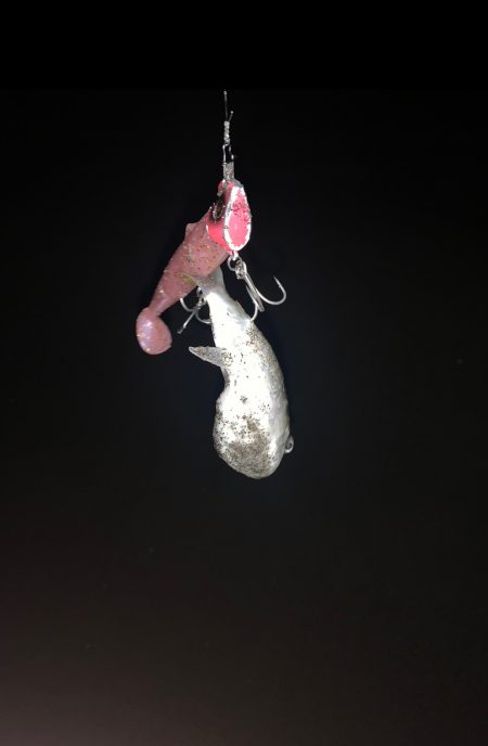 ナイトサーフでマゴチ